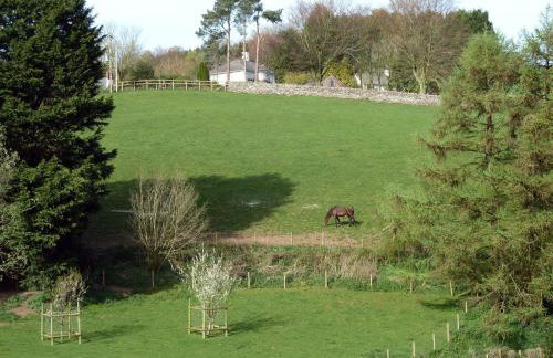 Westcott Cross Cottage Luxborough - Foto 35