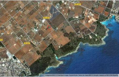 Finca Sa Gruta Marines - Foto 38