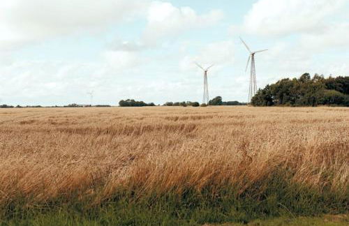 Wohnung 3 - b43246 - Foto 22