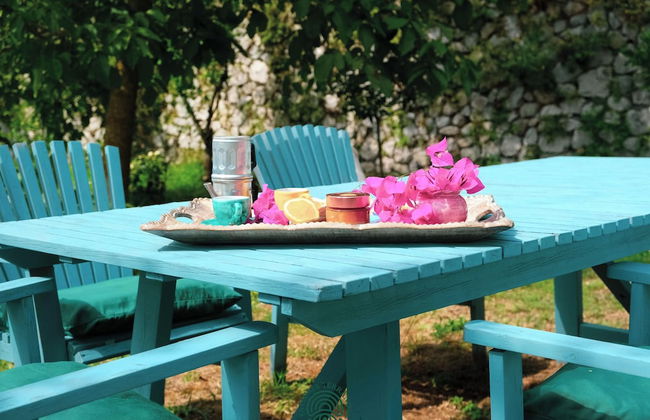 Fattoria Terranova - Foto 76