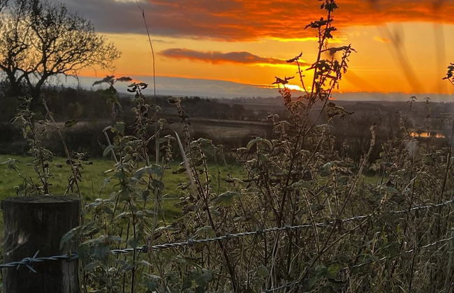 1 Bed Glamping Hut - Firepit, Fireplace, Views - Photo 15