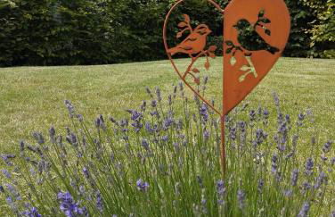 L'intemporelle - Foto 25