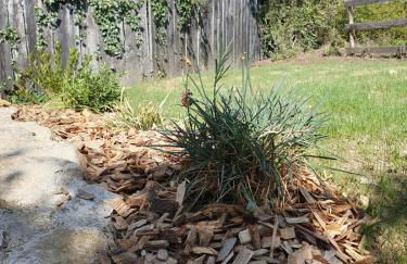 Studio confort, charme & tranquilité "Le Grenier" - Foto 27