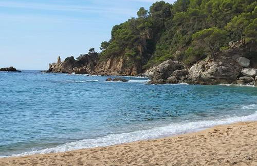 Apartment with garden and sea view Santa Cristina Blanes - Foto 52