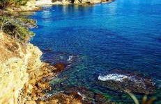 Beachfront Villa - Photo 6