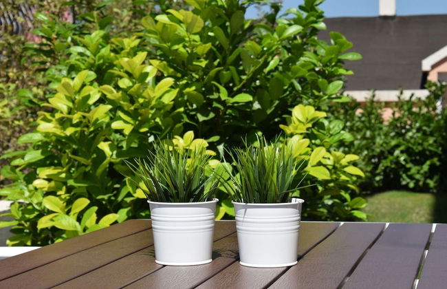 Apartments Roses - Foto 77