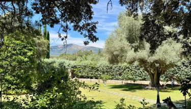 Quinta El Escorial - Foto 3