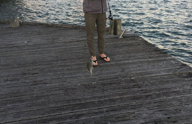 Tripcony Quays Apartments - Photo 80