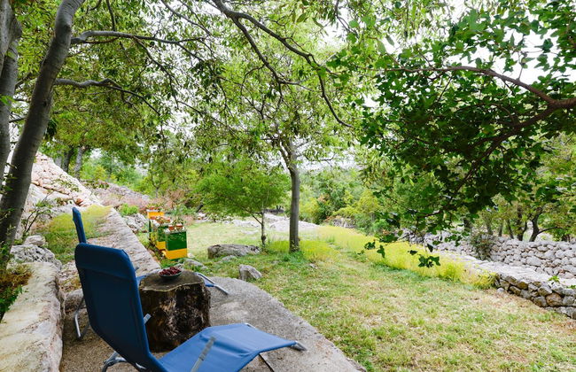 Traditional Stone House Adrian - Foto 23