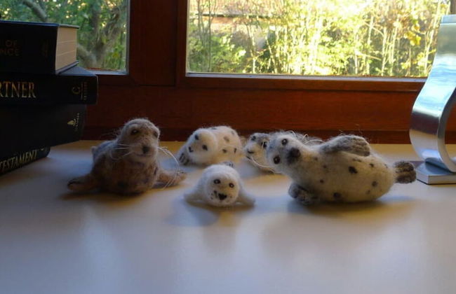 Holiday Home Gray Seal - Photo 8