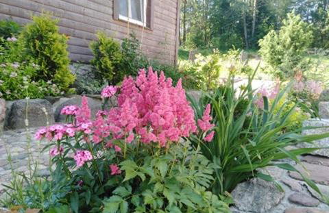 Domek w Zakątku Andrzeje Śniczany 18 - Photo 28