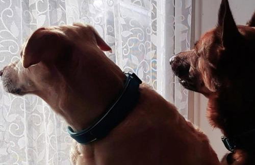 Annexe with Courtyard & Hot Tub Option - Foto 8