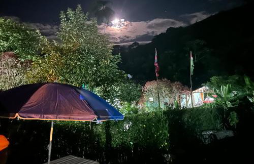 La Casinha da Sorte - Photo 22