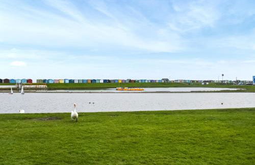 Swift Johnson - Foto 8