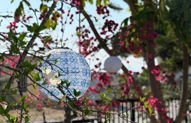 Εξοχικό elia lakonias - Foto 40