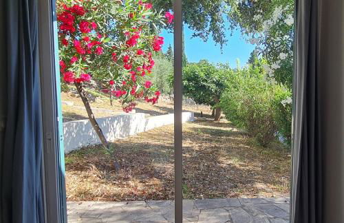 Domaine de la Navicelle - Foto 57