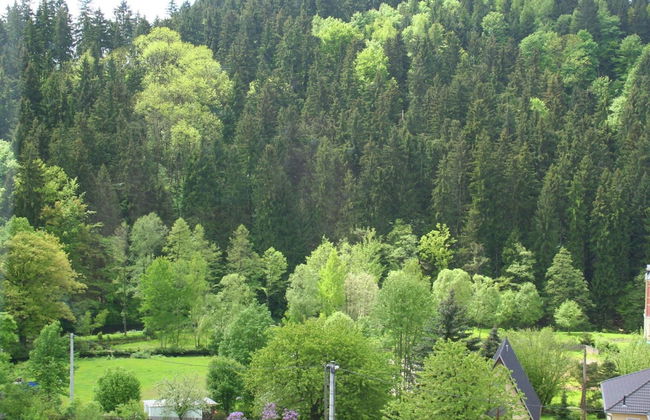 Peaceful Villa in Borstendorf - Foto 26