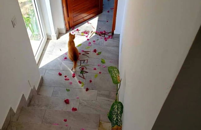 Biserka House - Foto 26