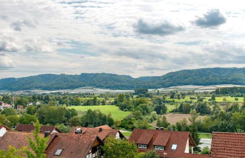 Ferienwohnung Bodenseeblick - Foto 23