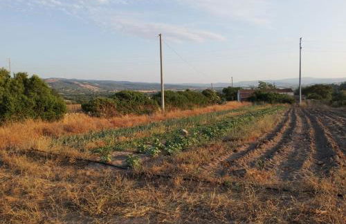 Casa vacanza Larimar azienda agricola rigenerativa naturale - Foto 14