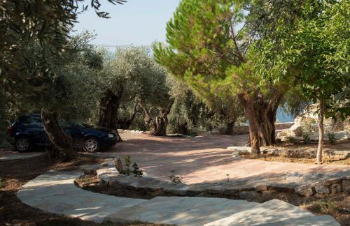 Cypresses Villas - Foto 12