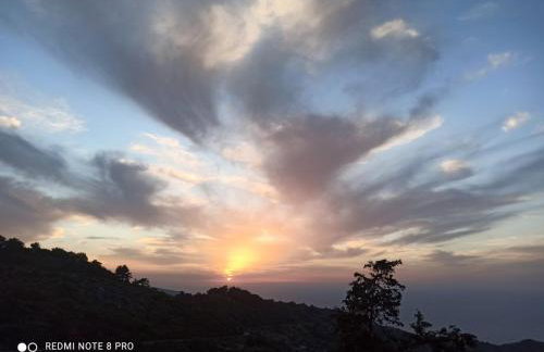 Endless Green 4 Arethousa Ikaria - Photo 26