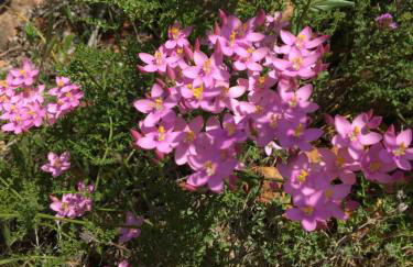 Your Vintage Townhouse - Foto 62