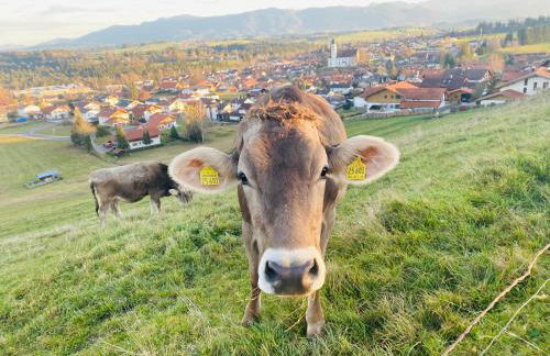 Villa Herzland Allgäu mit großem Garten und gemütlichem Kaminfeuer inklusive KÖNIGSCARD, Skipass, Bergbahn, Therme inkl - Foto 31