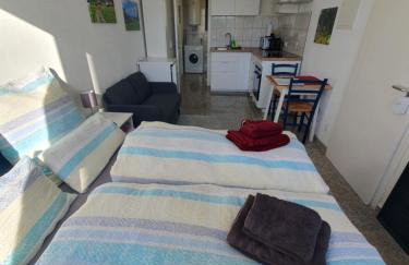 1-Zimmer-Wohnung-EG Fewo 2 Rupertsberg - Foto 5