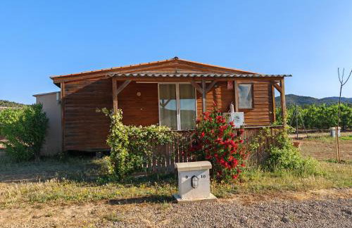 Montana-Camping-Fayon - Foto 8