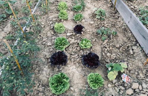 Villa immersa nei campi - Foto 34