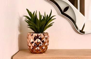 Loft zona histórica Camino De Santiago - Foto 13