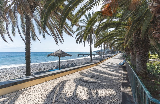 Casa da Horta by Atlantic Holiday - Foto 110