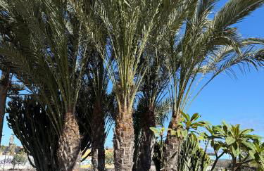 Casa Alma - Photo 37