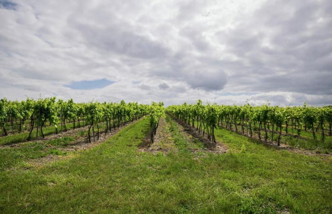 Luxury Apartment With Terrace, Sauna, Tennis, Pool - Foto 56