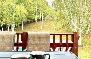 Stylish Mountain Chalet 15mins to Gore Mountain , Large Hot Tub, Playroom & Large Heated Pool - Foto 62