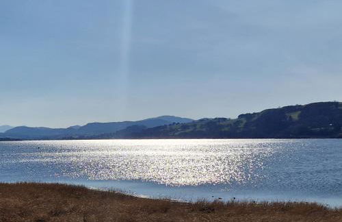 Old Ty'n Y Wern - Foto 36