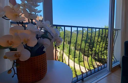 Bosque 201 Apto junto a Natureza próximo ao centro - Foto 20