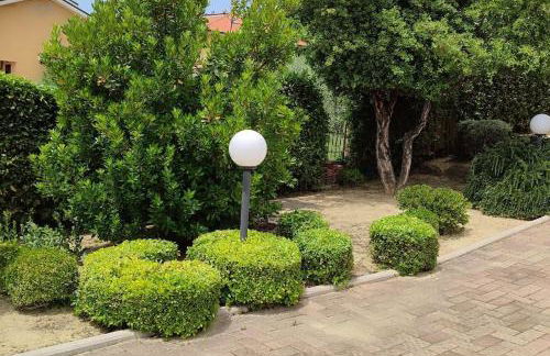 La Presentosa - Foto 5