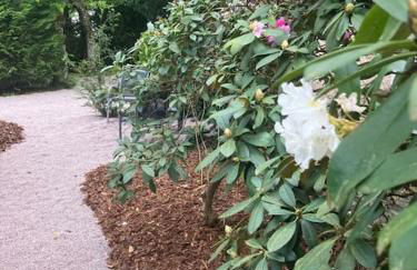 Gite l'Échapée Belle dans les Vosges - Foto 34