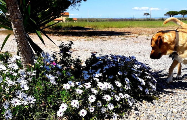 Agriturismo Monte Argentario - Foto 69