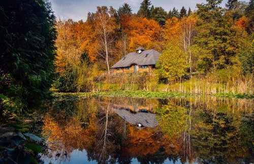 Dzikie południe - Foto 1