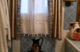 Michelle House - Foto 66