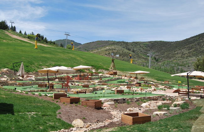 White Pines 1-BD Penthouse at Westgate - Tycoon - Photo 15