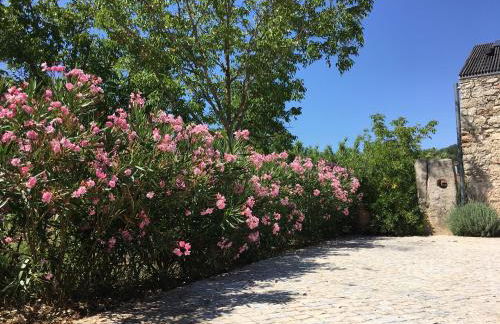 Acquavilla - Foto 28