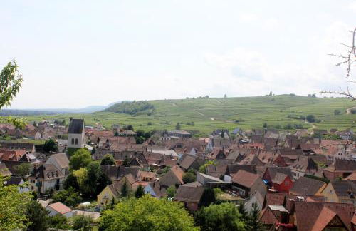 Gite des cigognes bleu - Foto 15