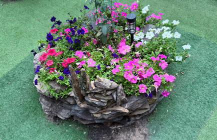 Cabaña ecologica del lago - Photo 7