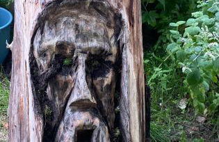 Agroturystyka Raj "Pod rzeźbami" - Photo 68