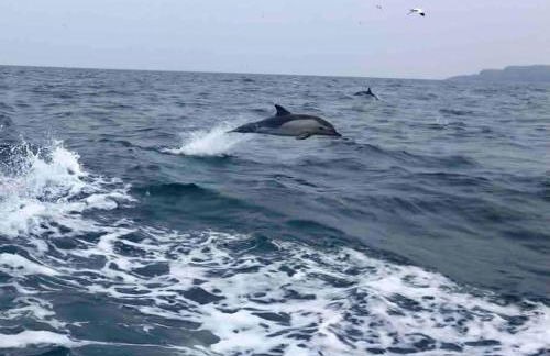 Charming coastal cottage - pet friendly! - Photo 44