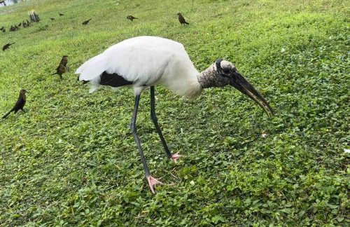 Lakeside retreat - 3 Bedroom, 2 Bathroom house by the lake - Foto 37